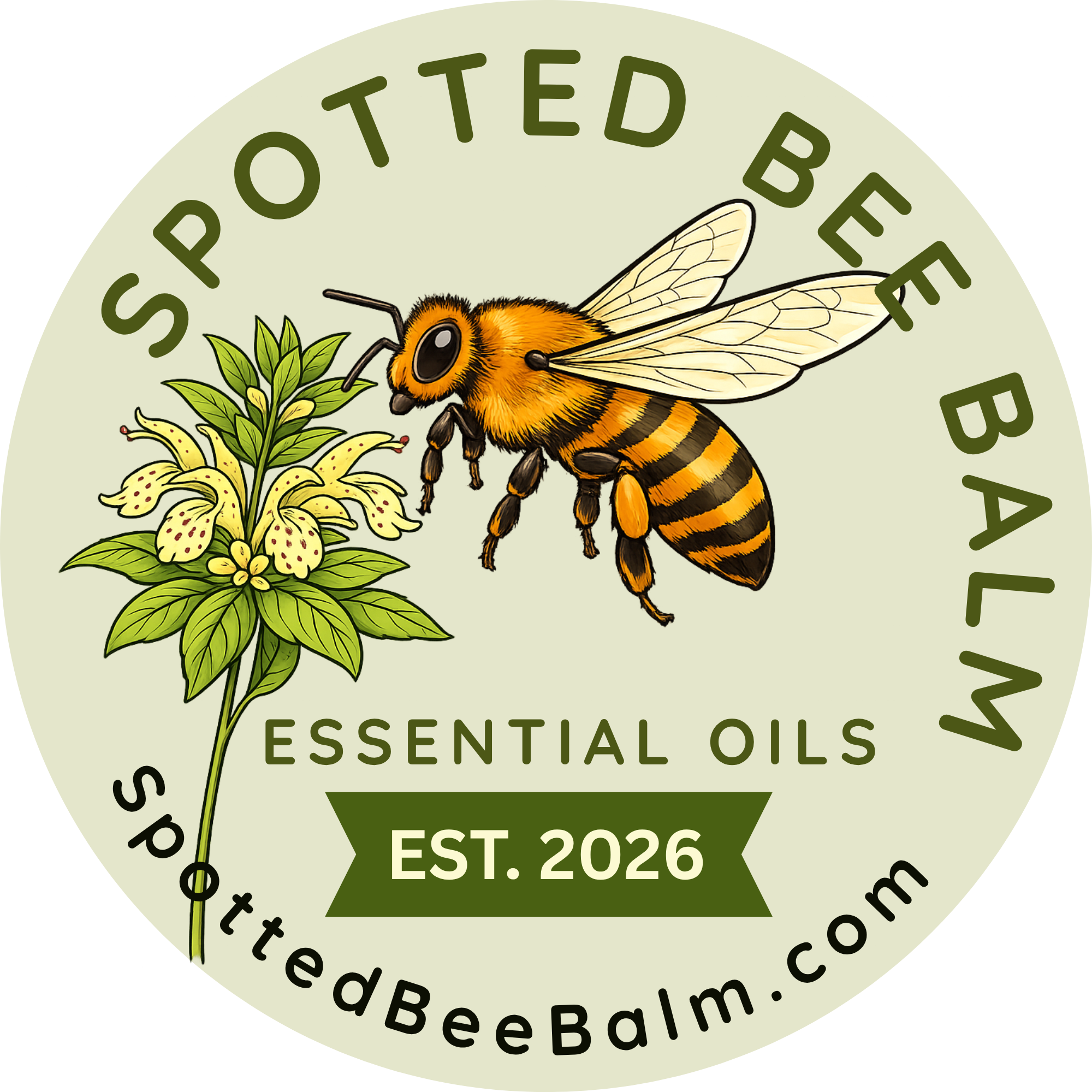 Spotted Bee Balm